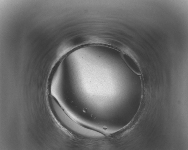 X0000081451133200701191707