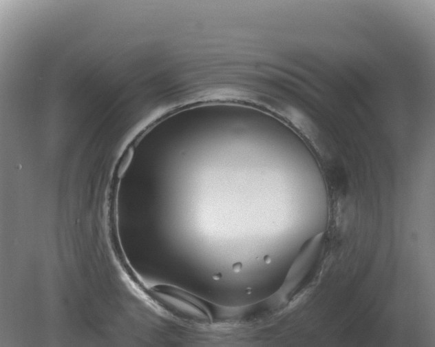 X0000081451134200701191707