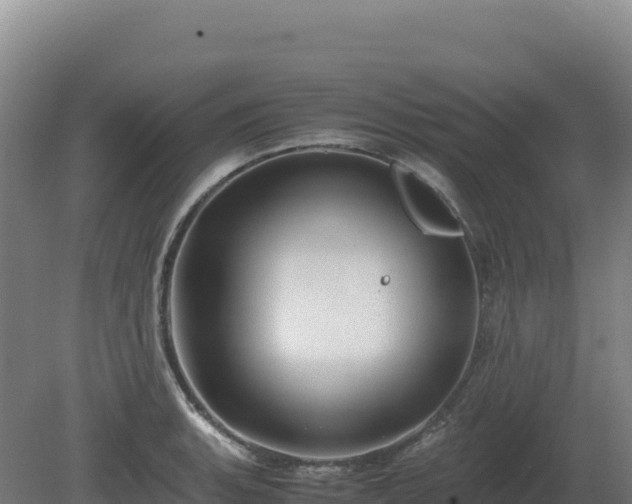 X0000081451135200701191707