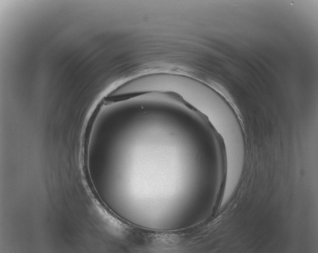 X0000081451136200701191707