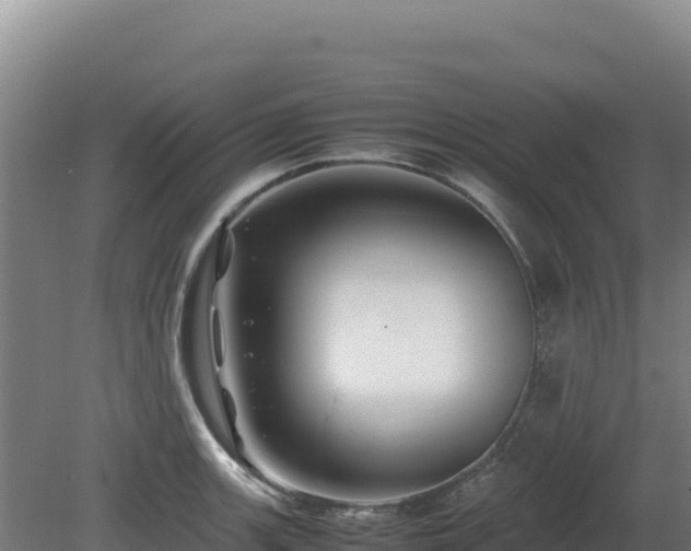 X0000081451139200701191707