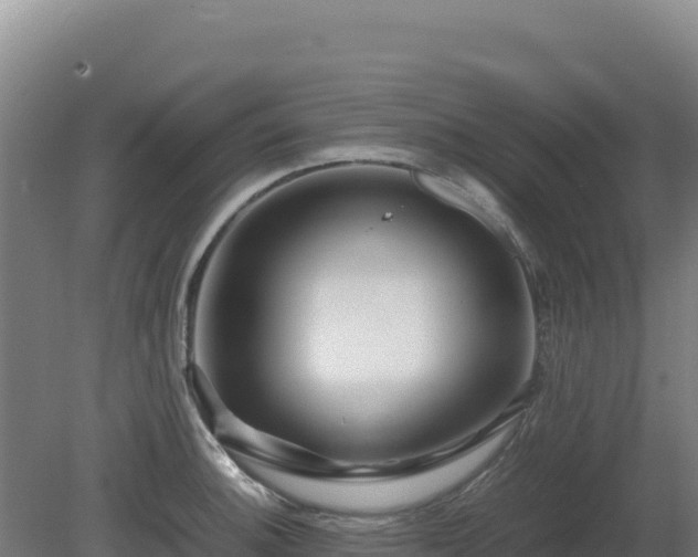 X0000081451140200701191707