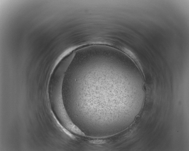 X0000081451141200701191707