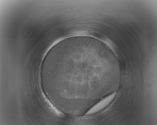 X0000081451142200701191707