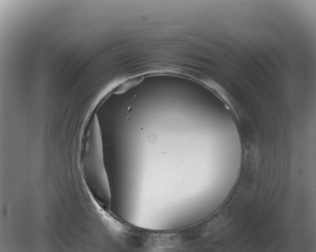 X0000081451143200701191707