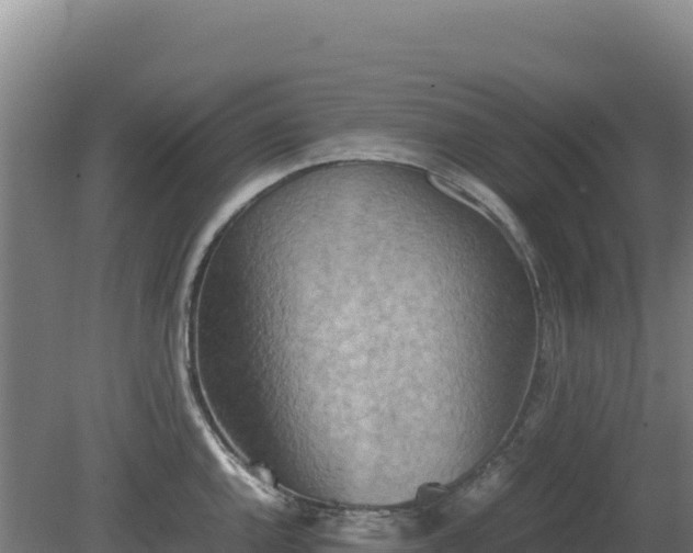 X0000081451144200701191707