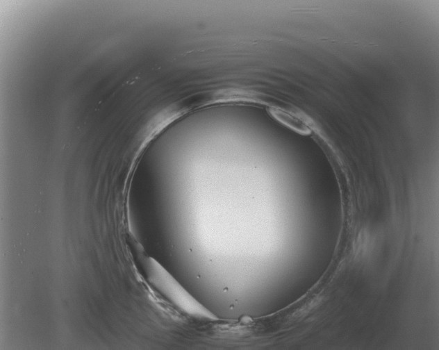 X0000081451145200701191707