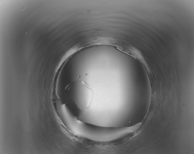 X0000081451146200701191707