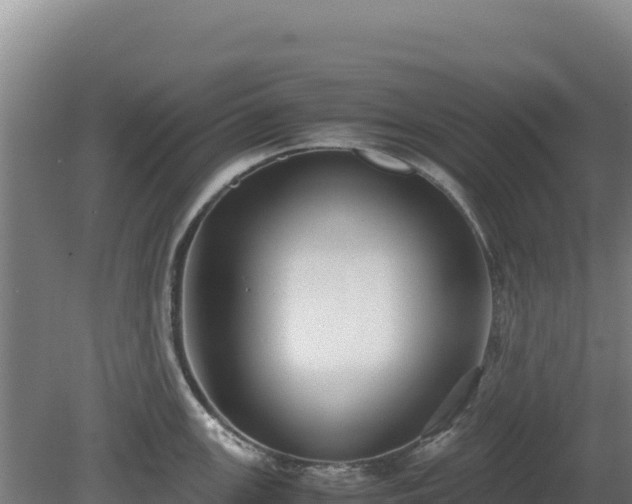 X0000081451147200701191707