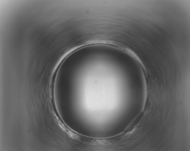 X0000081451148200701191707