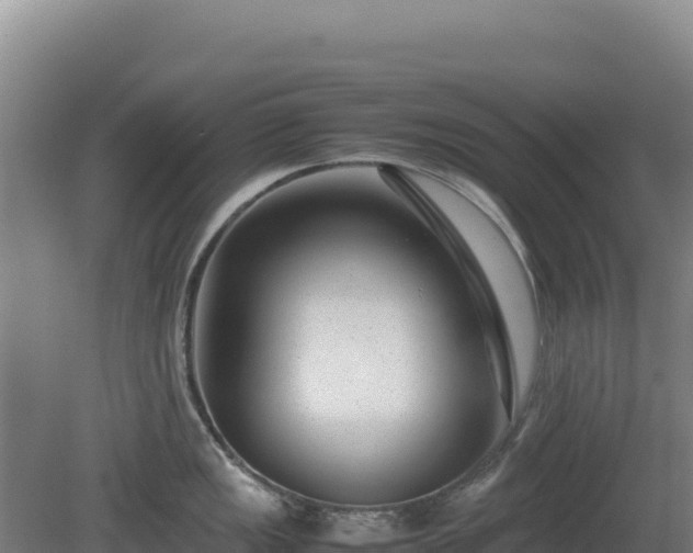 X0000081451149200701191707