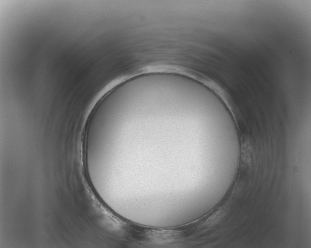 X0000081451150200701191707