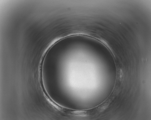 X0000081451151200701191707