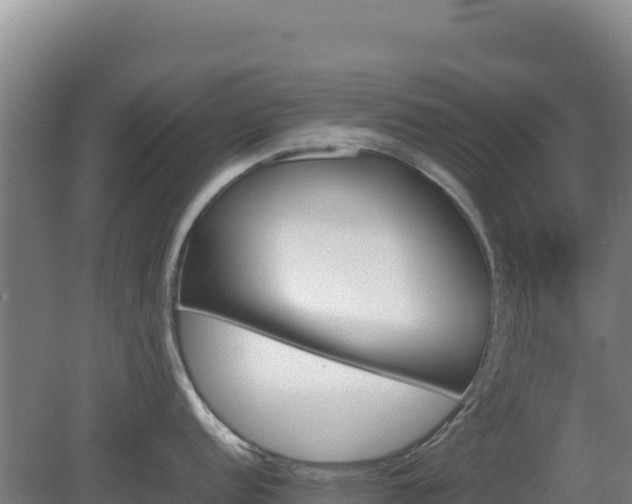 X0000081451152200701191707