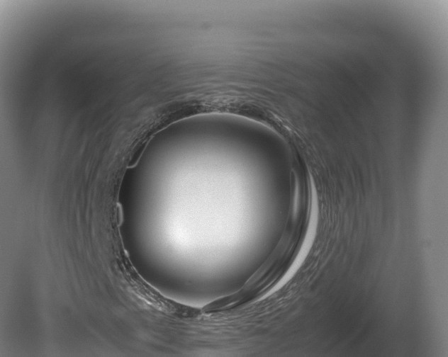 X0000081451153200701191706