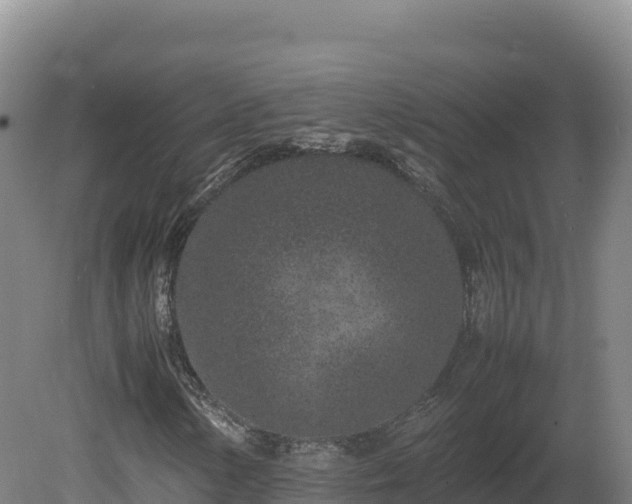 X0000081451154200701191706