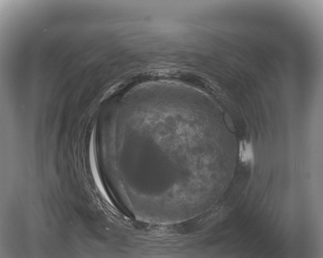 X0000081451155200701191706