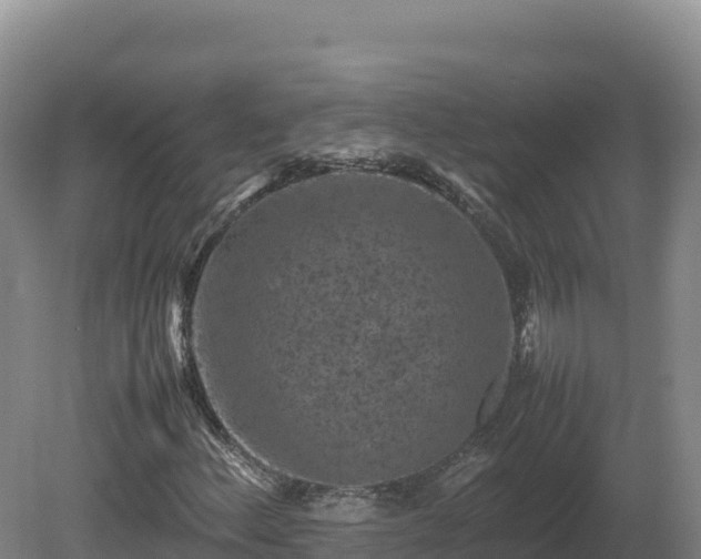 X0000081451156200701191706