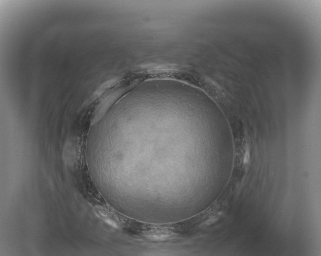 X0000081451157200701191706