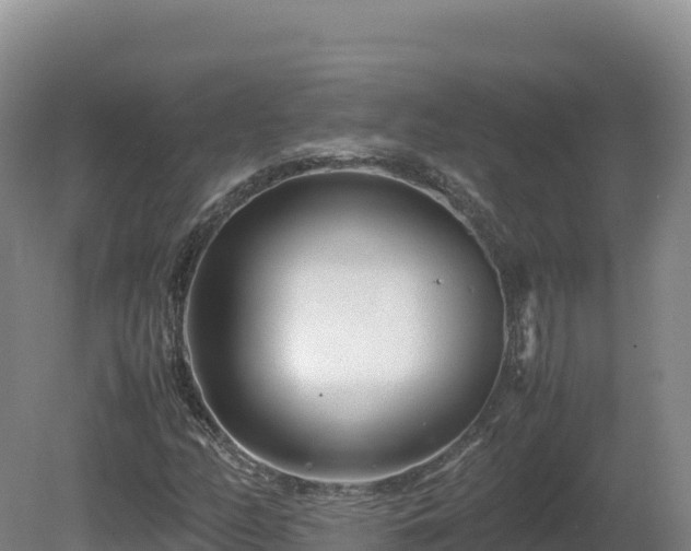 X0000081451158200701191706