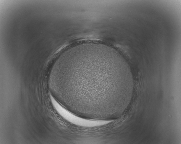 X0000081451159200701191706