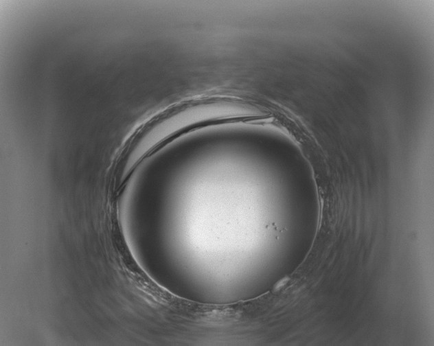 X0000081451160200701191706