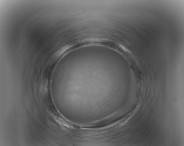 X0000081451161200701191706