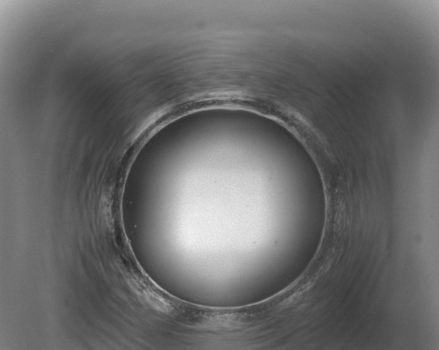 X0000081451162200701191706