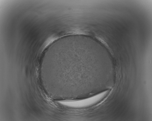 X0000081451163200701191706