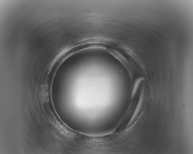 X0000081451164200701191706