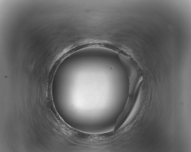 X0000081451165200701191706