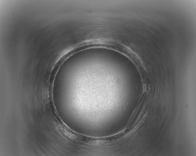 X0000081451166200701191706