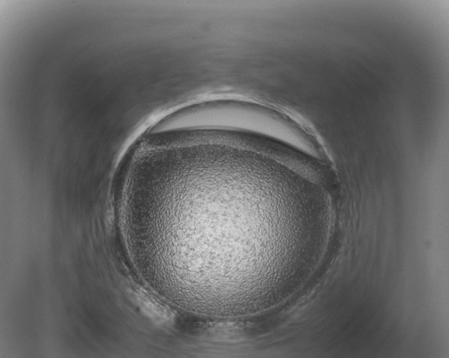 X0000081451167200701191706