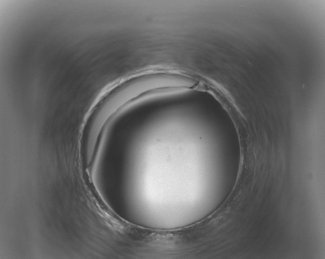 X0000081451168200701191706