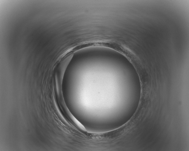 X0000081451169200701191706