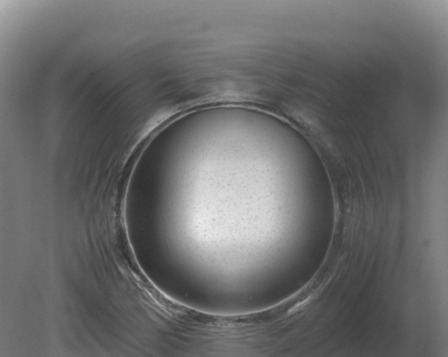 X0000081451170200701191706