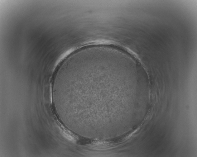 X0000081451171200701191706