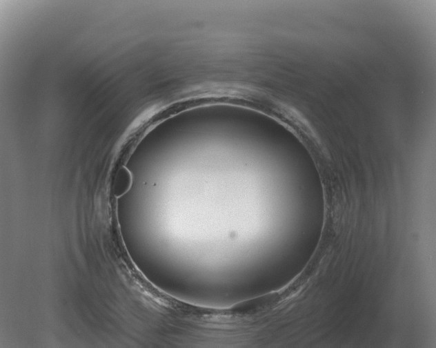 X0000081451172200701191706