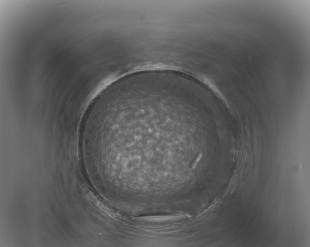 X0000081451173200701191706