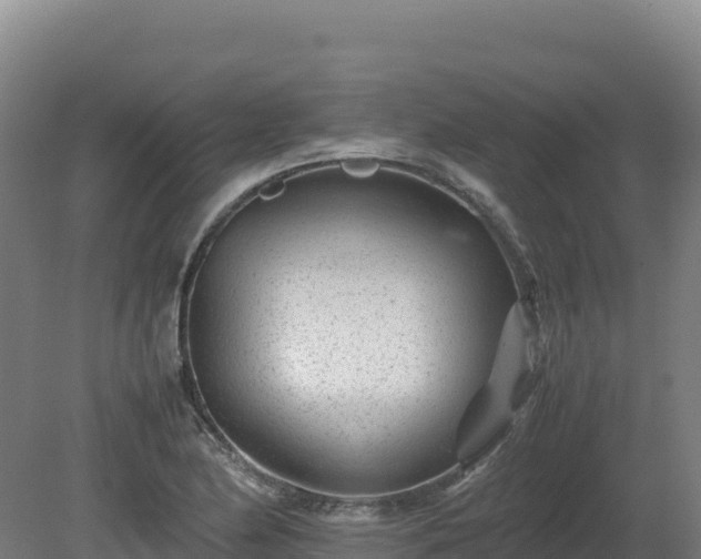 X0000081451174200701191706