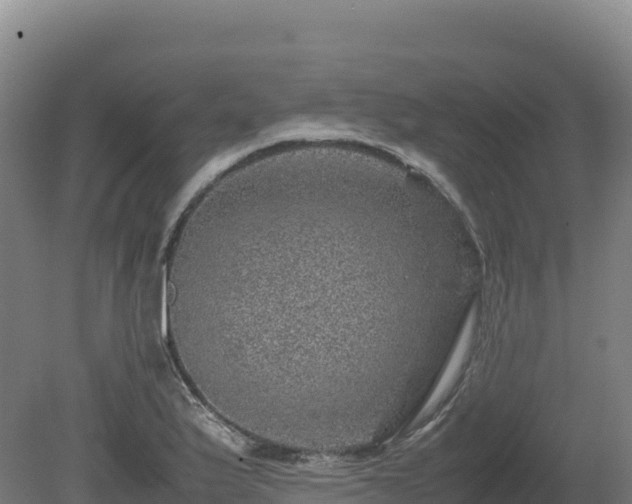 X0000081451175200701191706