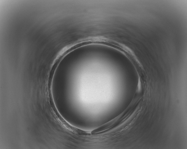 X0000081451176200701191706