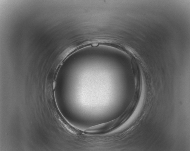 X0000081451177200701191706