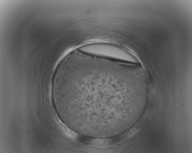 X0000081451179200701191706