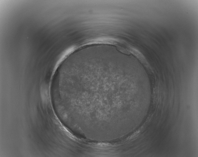 X0000081451180200701191706