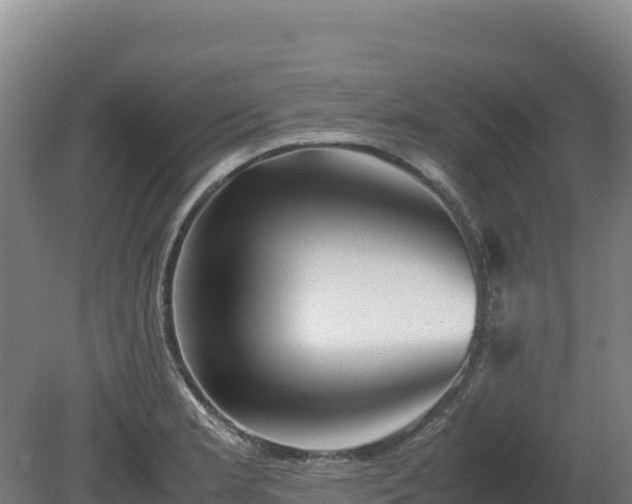 X0000081451181200701191706