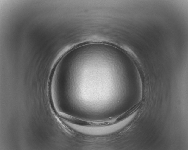 X0000081451183200701191706