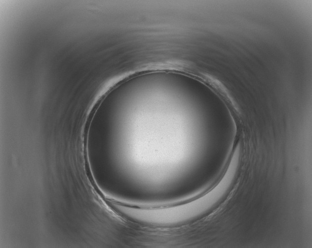 X0000081451184200701191706