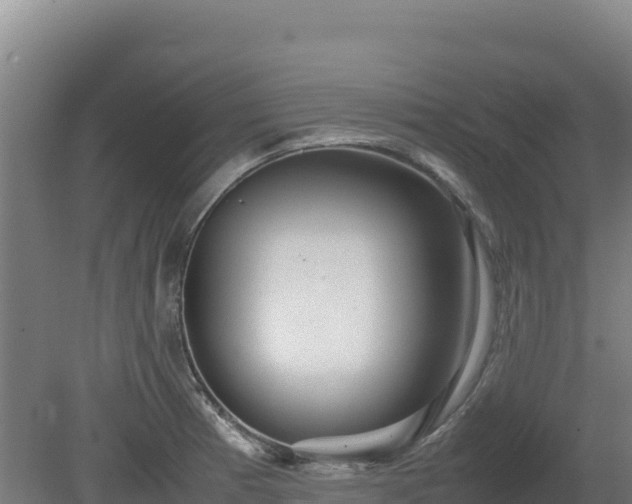 X0000081451185200701191706