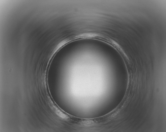 X0000081451186200701191706